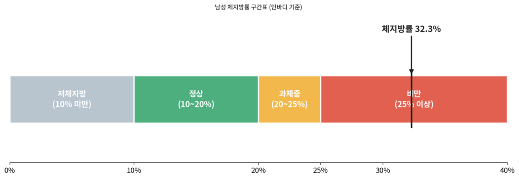 남성 체지방률 구간(정상 10~20%, 과체중, 25% 이상 비만)을 색상으로 구분한 막대 그래프 — 의학·건강 개념 시각 자료
